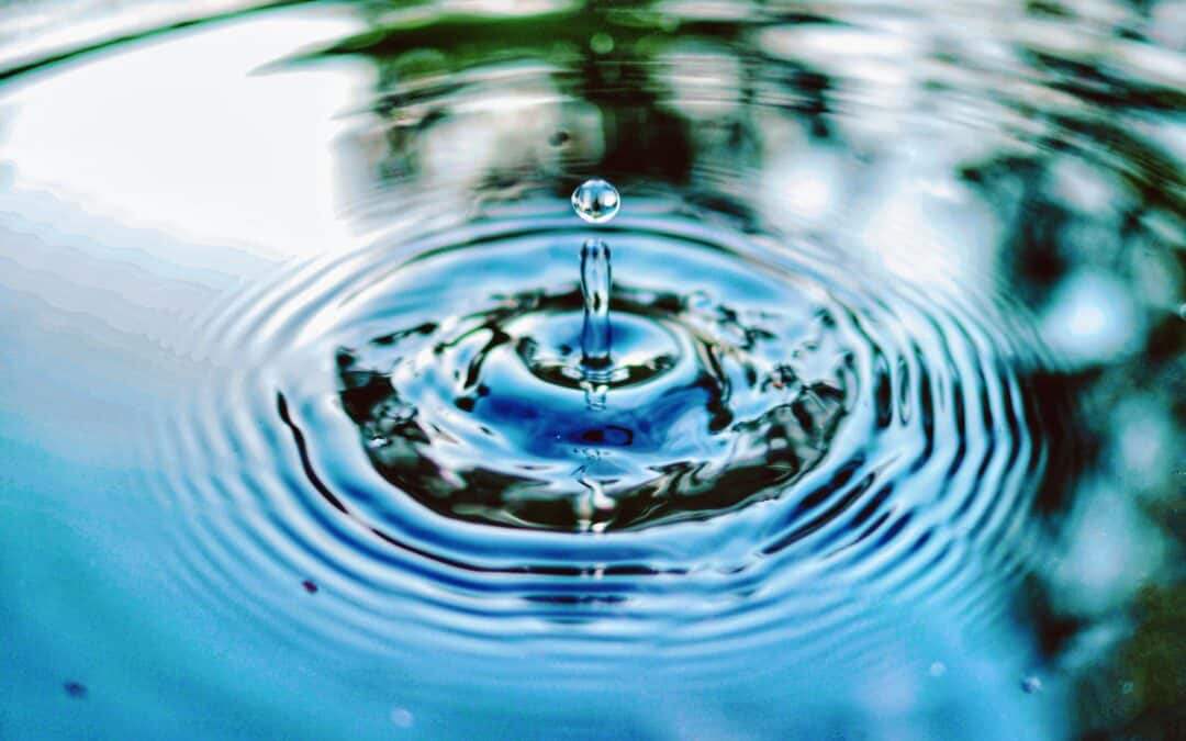 Results of the Cortes Aquifer Study