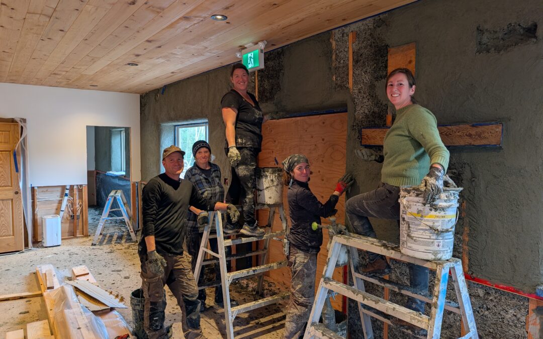 Interested in natural building techniques?