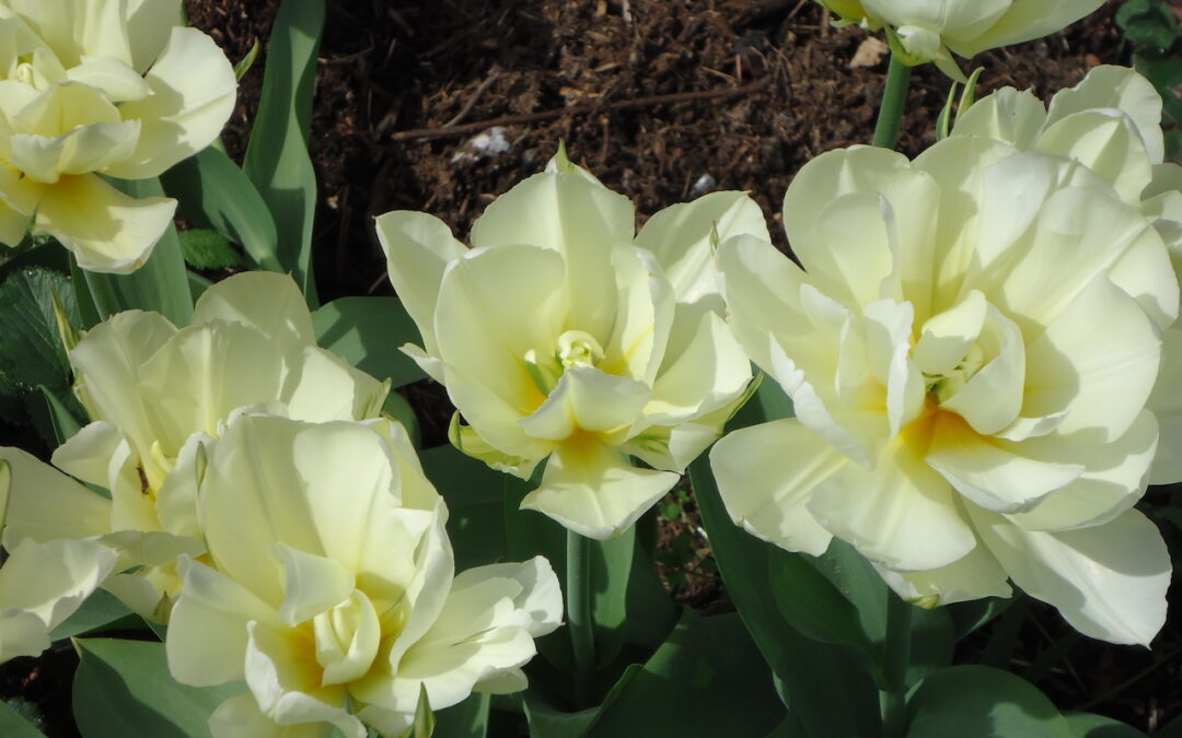 What did we achieve in 2025?