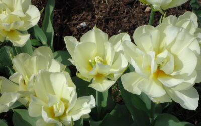 What did we achieve in 2025?