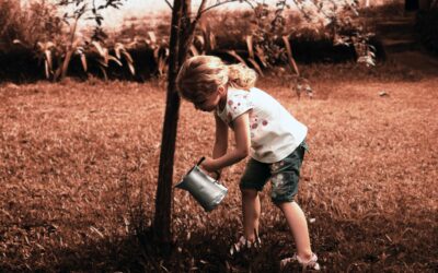 Community Orchard Planting Celebration & Workshop